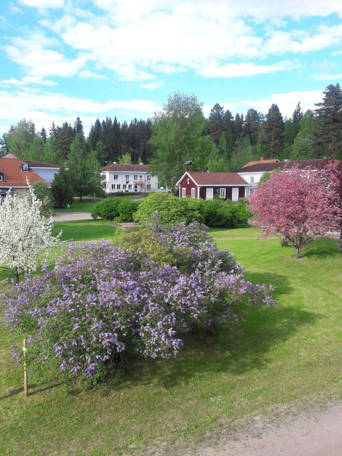 Alggardsberget Hotell Sundsvall Eksteriør billede